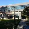 usf1